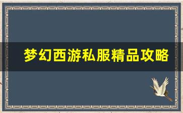 梦幻西游私服精品攻略：如何在服务器中脱颖而出