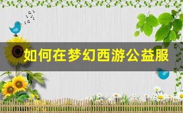 如何在梦幻西游公益服中获得稀有锦衣