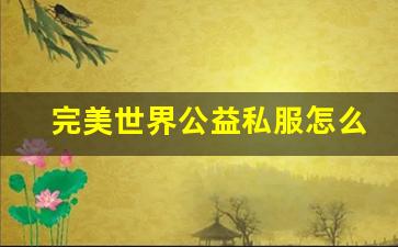  完美世界公益私服怎么玩才能快速升级