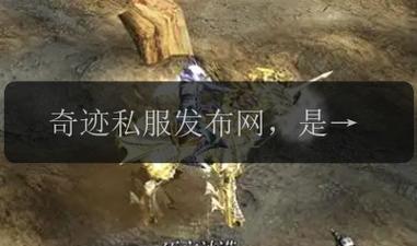 奇迹发布网主页_奇迹发布网新开服_奇迹sf发布网