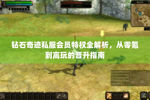 钻石奇迹私服会员特权全解析，从零氪到高玩的晋升指南