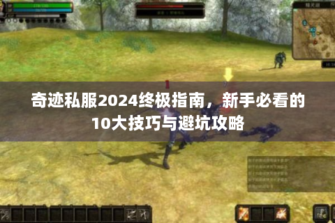奇迹私服2024终极指南，新手必看的10大技巧与避坑攻略