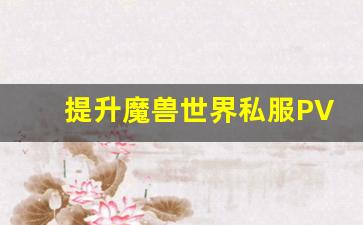 提升魔兽世界私服PVP技巧：成为竞技场的真正王者