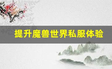 提升魔兽世界私服体验的最佳服务器配置指南