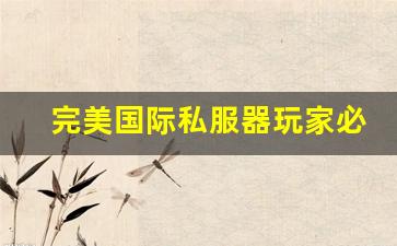 完美国际私服器玩家必看：如何选择适合你的服务器