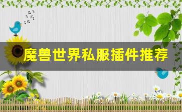 魔兽世界私服插件推荐与使用技巧