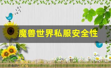 如何辨别魔兽世界私服的真假与安全性