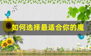 如何选择最适合你的魔兽世界SF发布网平台