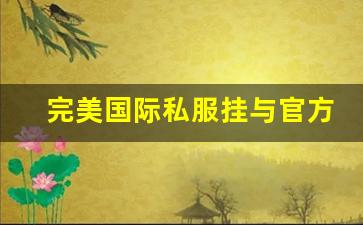 完美国际私服挂与官方服务器的区别及选择建议