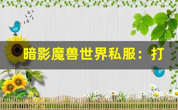 暗影魔兽世界私服：打造专属于你的虚拟冒险世界